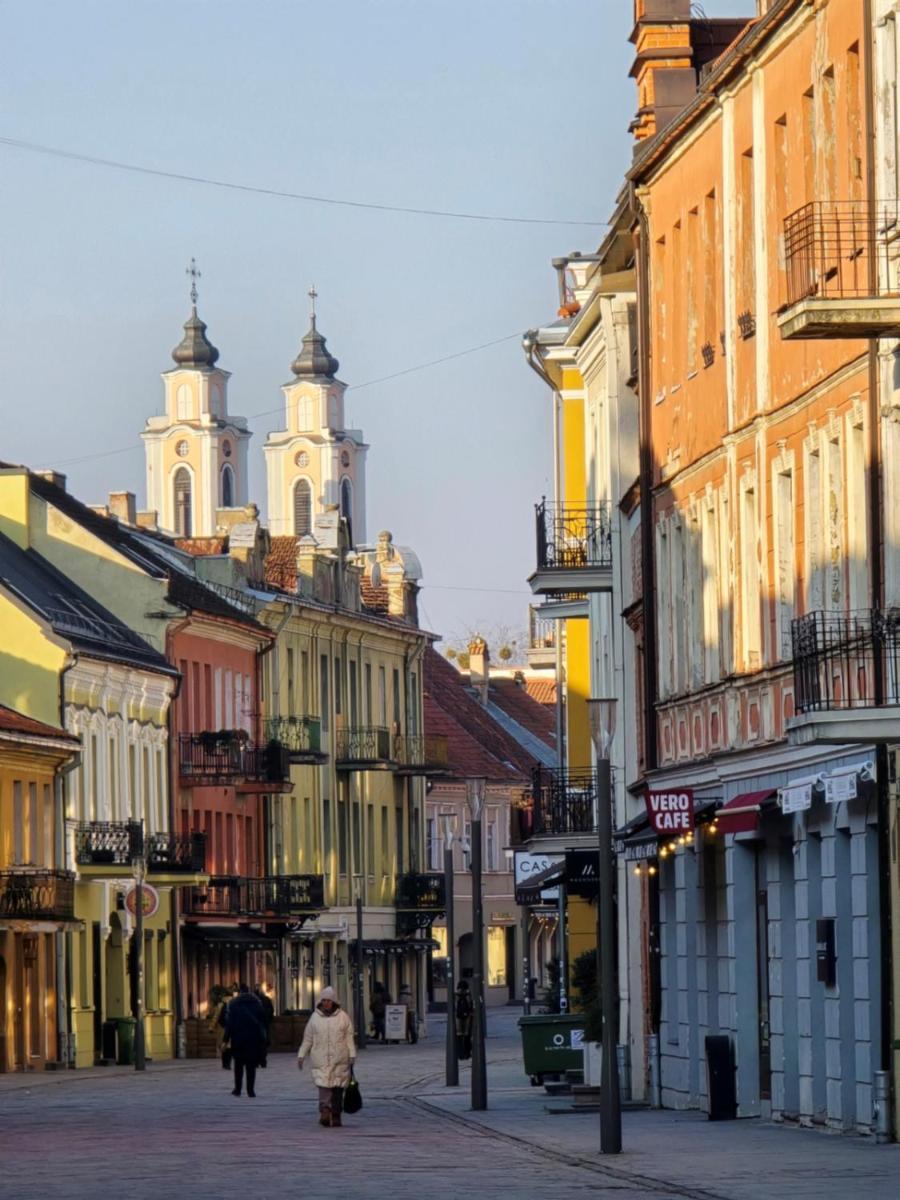 Apartamento Oldtown Trinity House Kaunas